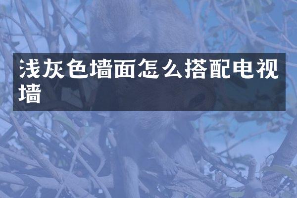 浅灰色墙面怎么搭配电视墙