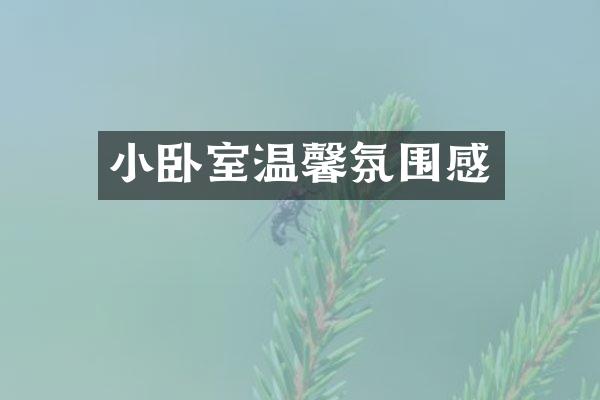 小卧室温馨氛围感