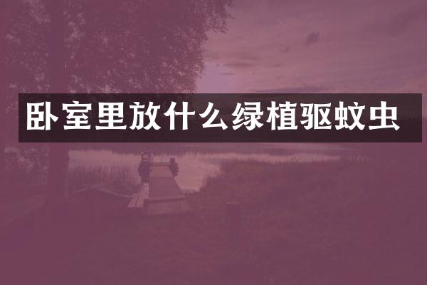 卧室里放什么绿植驱蚊虫