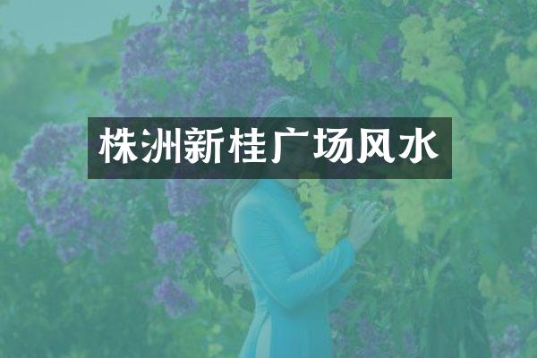 株洲新桂广场风水