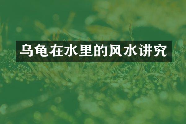 乌龟在水里的风水讲究