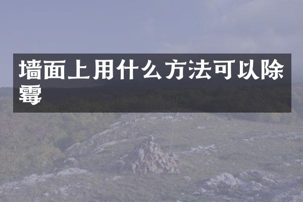 墙面上用什么方法可以除霉