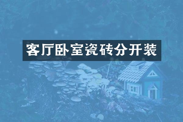 客厅卧室瓷砖分开装