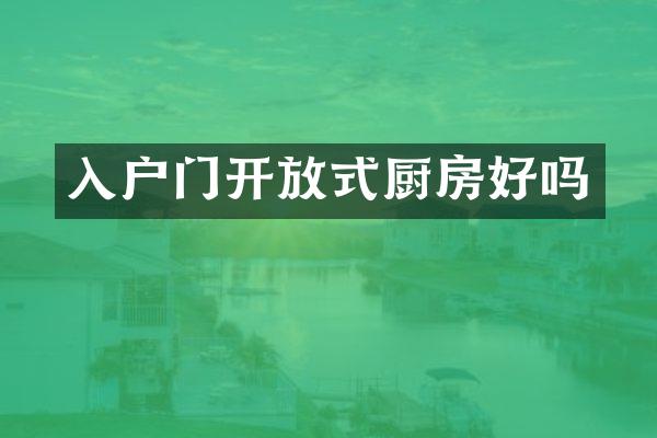 入户门开放式厨房好吗