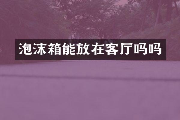 泡沫箱能放在客厅吗吗