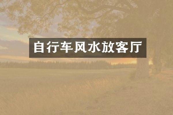 自行车风水放客厅
