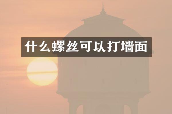 什么螺丝可以打墙面
