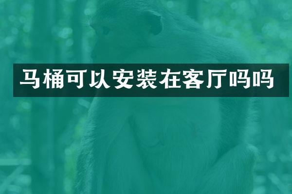马桶可以安装在客厅吗吗