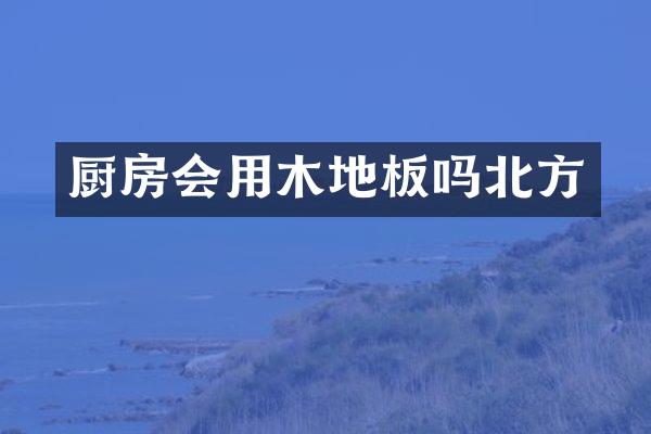 厨房会用木地板吗北方