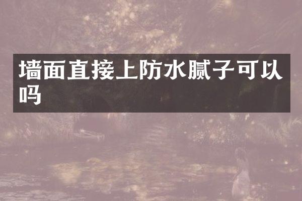 墙面直接上防水腻子可以吗