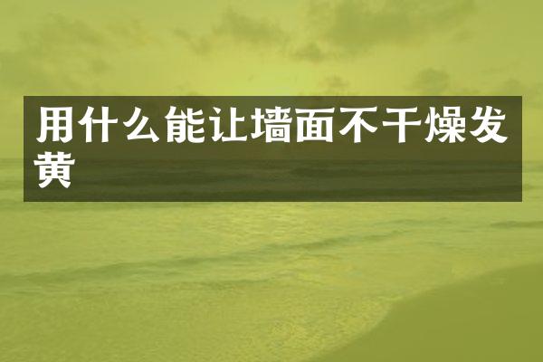 用什么能让墙面不干燥发黄