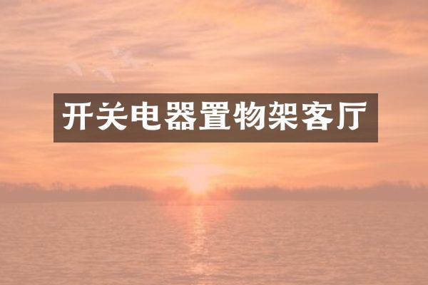 开关电器置物架客厅