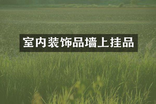 室内装饰品墙上挂品