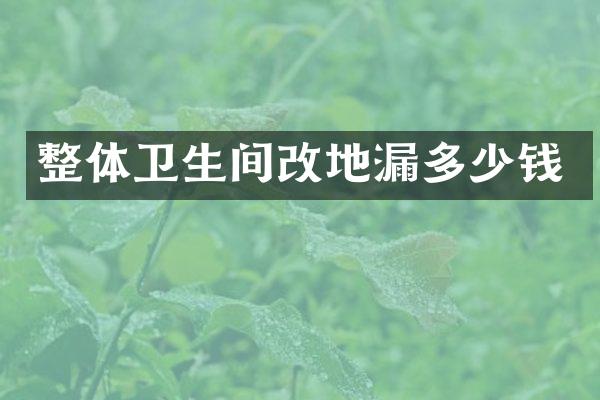 整体卫生间改地漏多少钱