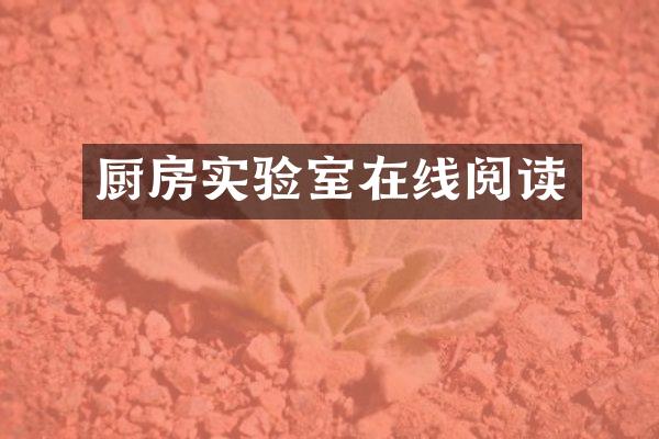 厨房实验室在线阅读