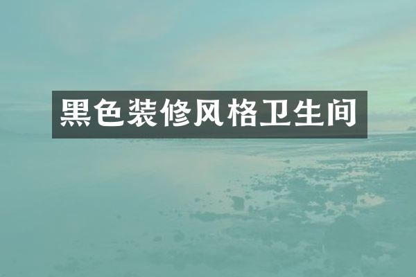 黑色装修风格卫生间