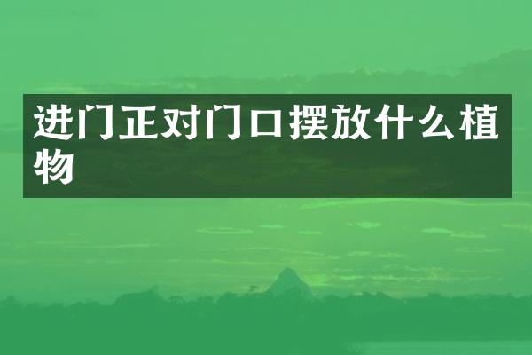 进门正对门口摆放什么植物