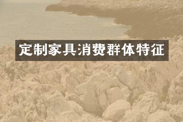 定制家具消费群体特征