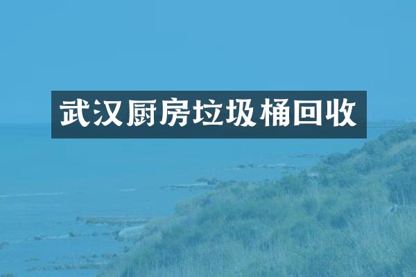 武汉厨房垃圾桶回收