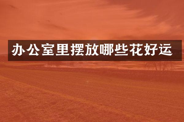 办公室里摆放哪些花好运