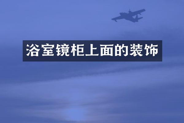 浴室镜柜上面的装饰