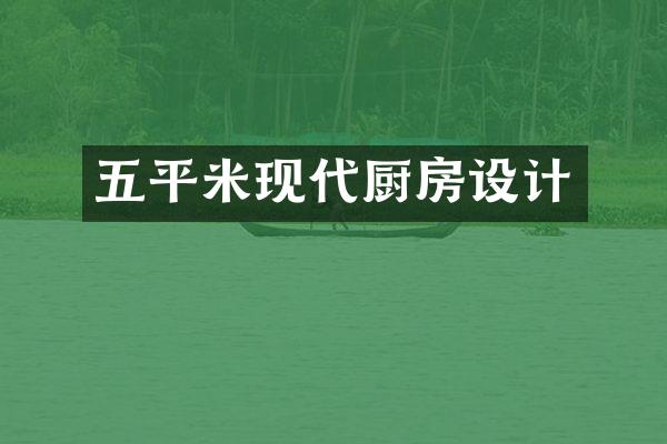 五平米现代厨房设计