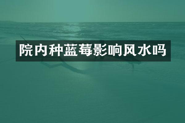 院内种蓝莓影响风水吗