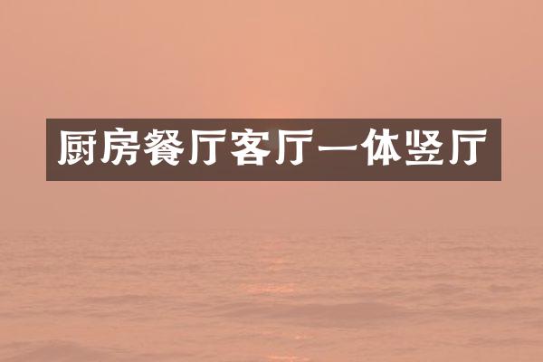 厨房餐厅客厅一体竖厅