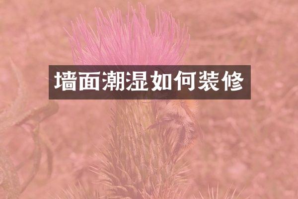 墙面潮湿如何装修