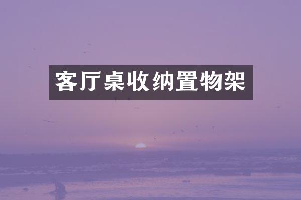 客厅桌收纳置物架