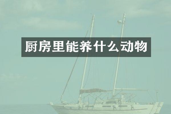 厨房里能养什么动物