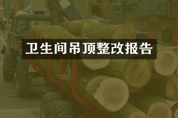 卫生间吊顶整改报告