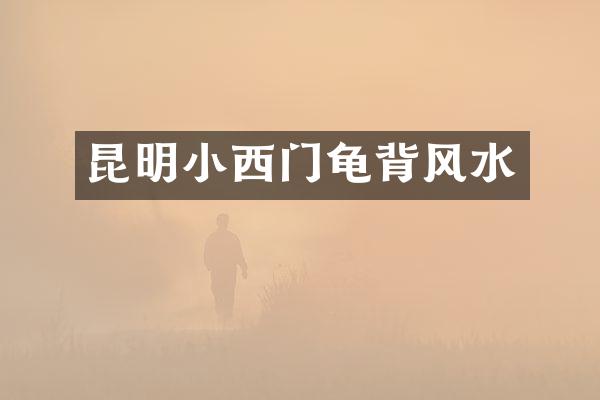 昆明小西门龟背风水