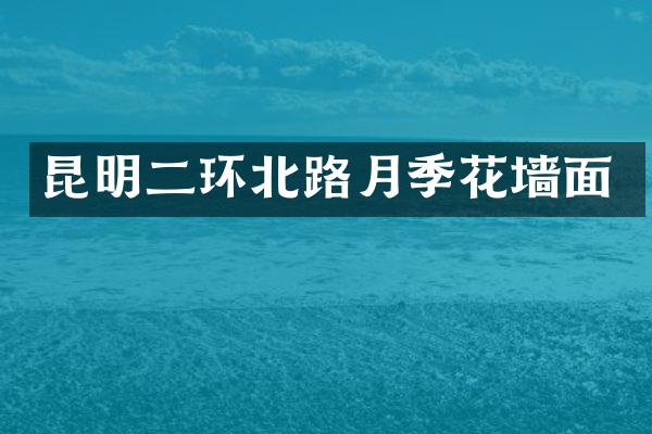 昆明二环北路月季花墙面