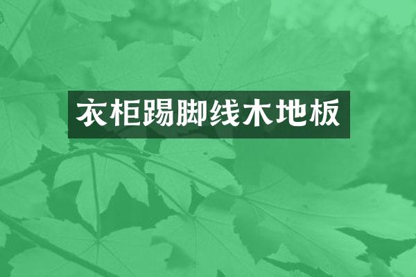 衣柜踢脚线木地板