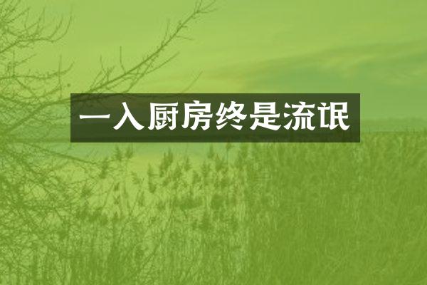 一入厨房终是流氓
