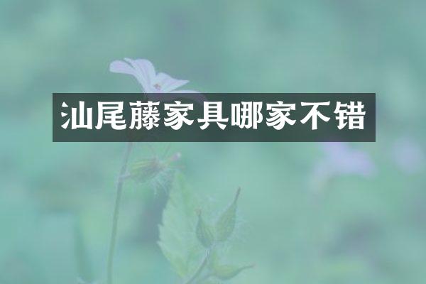 汕尾藤家具哪家不错