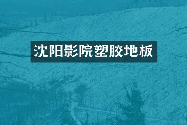 沈阳影院塑胶地板