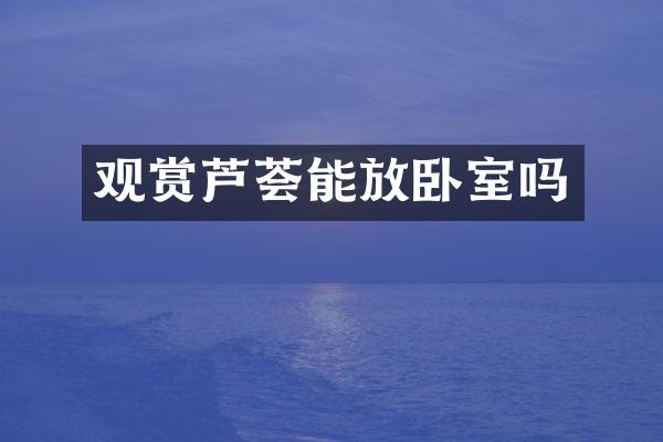 观赏芦荟能放卧室吗