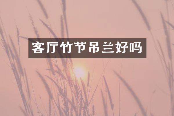 客厅竹节吊兰好吗