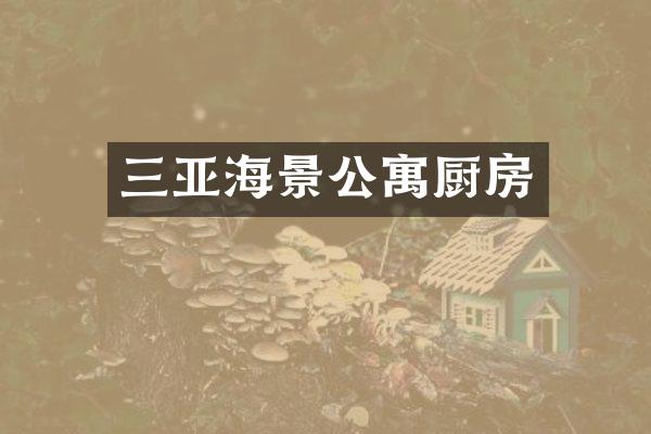 三亚海景公寓厨房
