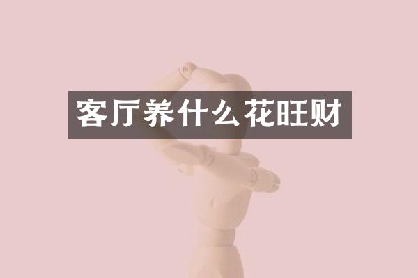 客厅养什么花旺财