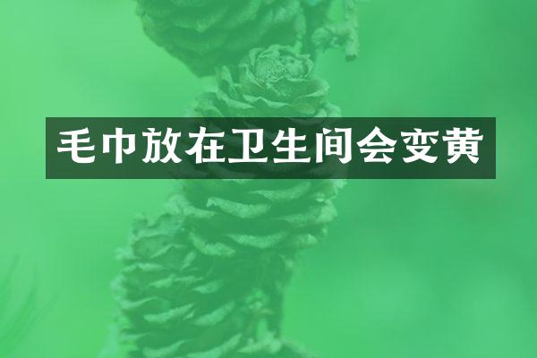 毛巾放在卫生间会变黄