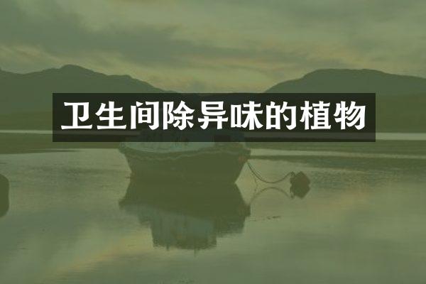 卫生间除异味的植物
