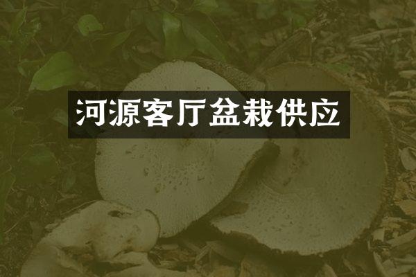 河源客厅盆栽供应