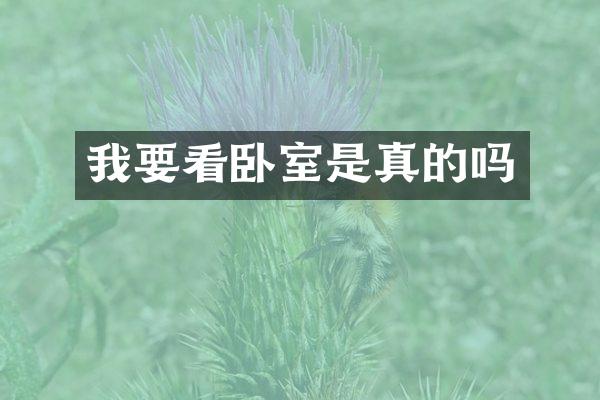 我要看卧室是真的吗