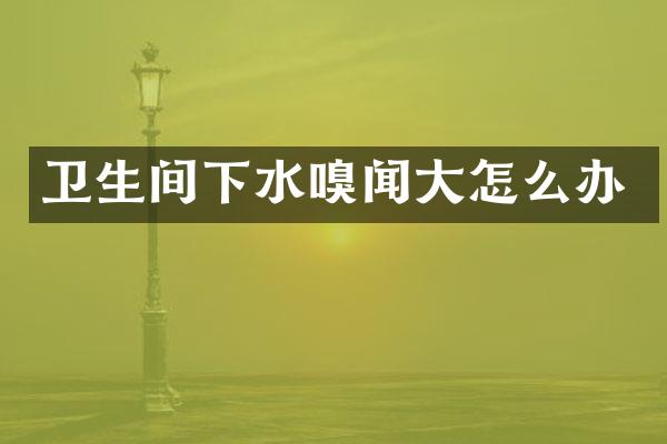 卫生间下水嗅闻大怎么办