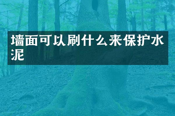 墙面可以刷什么来保护水泥