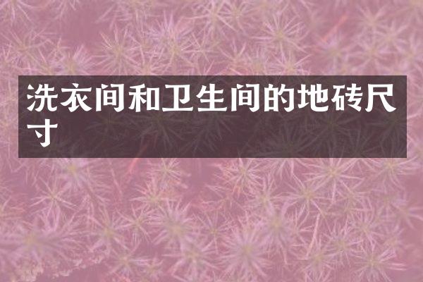 洗衣间和卫生间的地砖尺寸