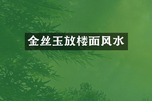 金丝玉放楼面风水